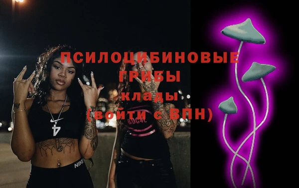 а пвп мука Богданович