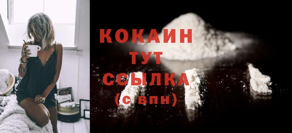 таблы Богородицк