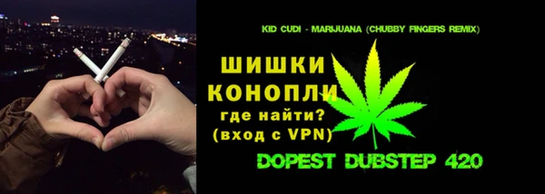 стаф Богородск
