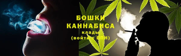 стаф Богородск