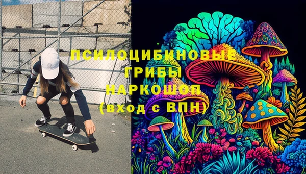 таблы Богородицк